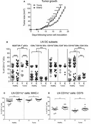 The Regulatory Status Adopted by Lymph Node Dendritic Cells and T Cells During Healthy Aging Is Maintained During Cancer and May Contribute to Reduced Responses to Immunotherapy